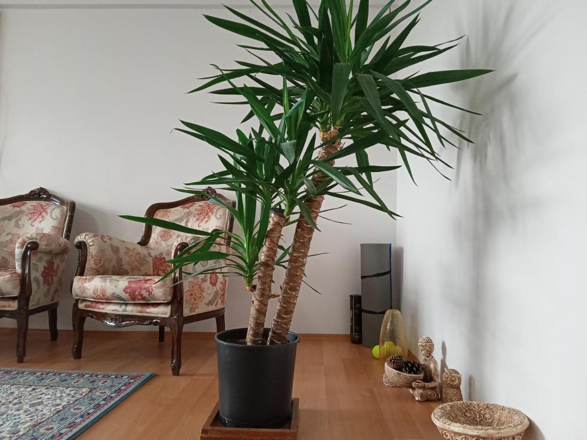 A Single Room in Home, одноместная комната в доме, Chambre simple, Habitación individual Istambul Exterior foto